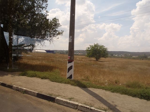 �o�X�ɗh����