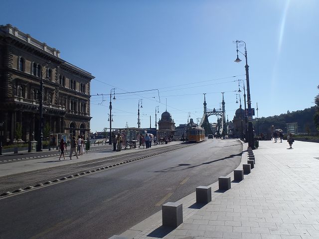 �J�[�����B���L��w��������ďh��