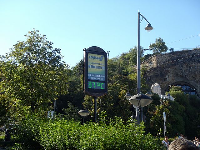 �C����37���c�{���ɁH