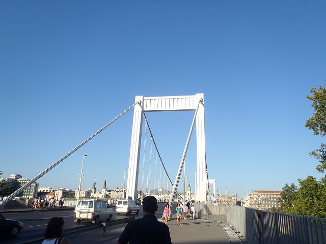 �n���S�ɏ�邽�߁A�G���W�F�[�x�g���Ńy�X�g��