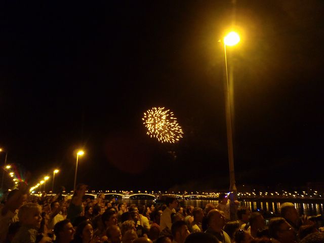 �F�Ƃ�ǂ�A�l�X�Ȍ`�̉ԉ΂����鏊����オ����