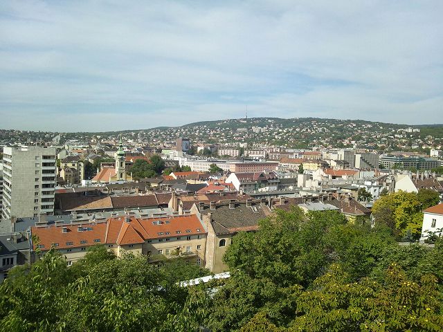 �u�̌��������ɂ��s�X���L����