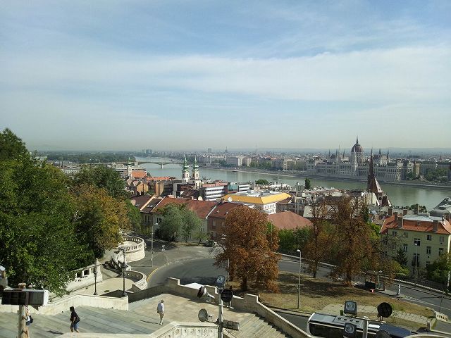 �h�i�E��ƃy�X�g�̊X���݂���]����