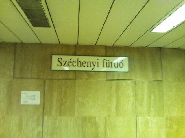 �Z�[�`�F�j����w