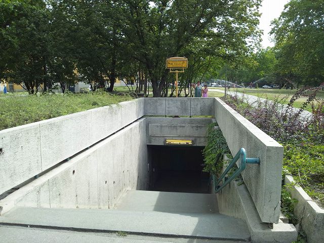 �w�͉���̂�������