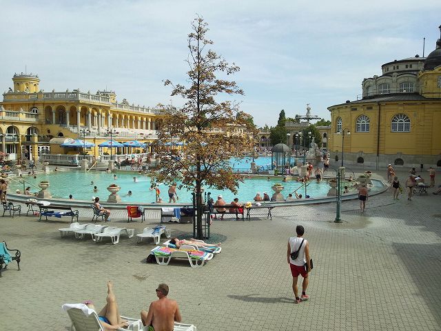 �v�[���̂悤�ȑ����̃Z�[�`�F�j����