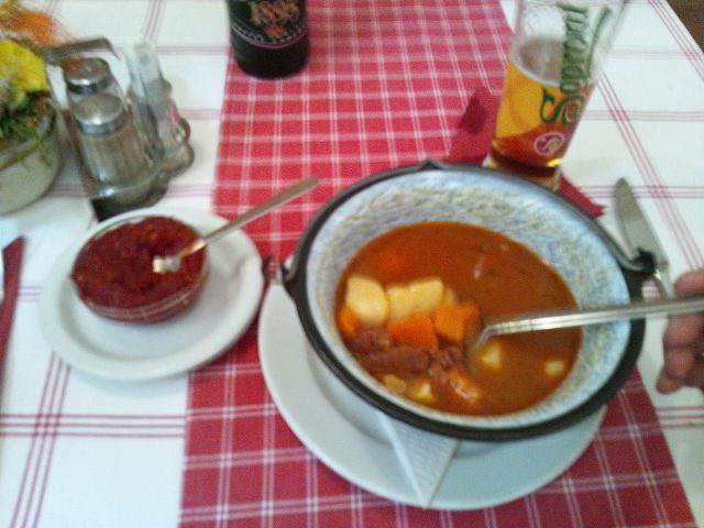 �n���K���[�����O���[�V���@���̐h���p�v���J��������ƂȂ�������