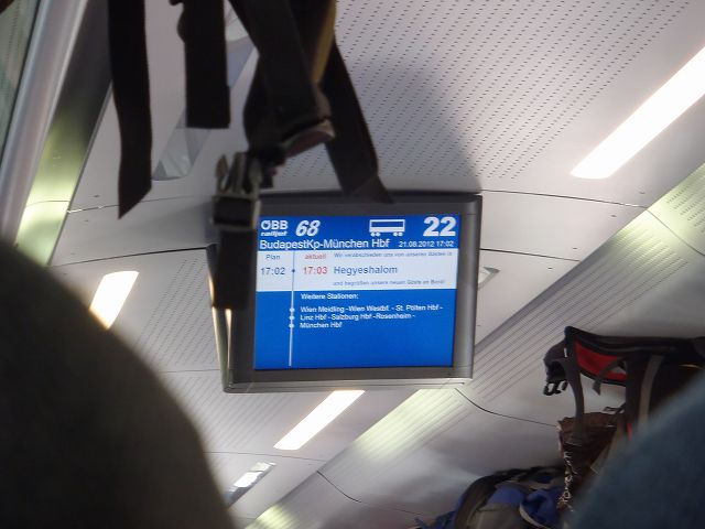 �w�[�M�G�X�n�[�����̎��̓E�B�[��