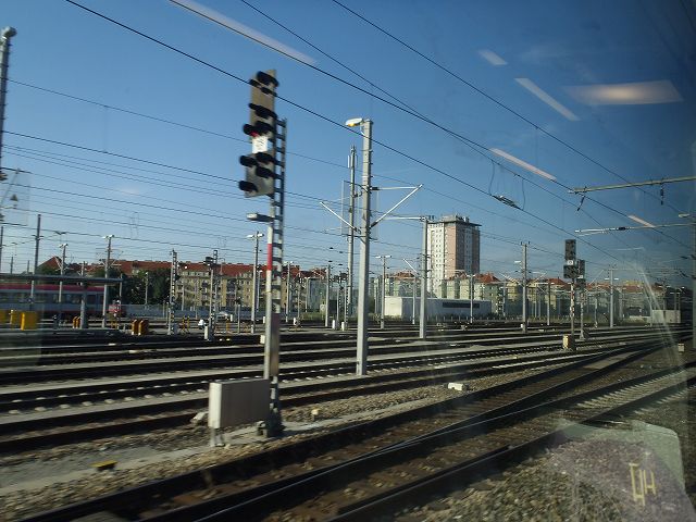 �E�B�[���E�}�C�g�����O�w�ɓ���