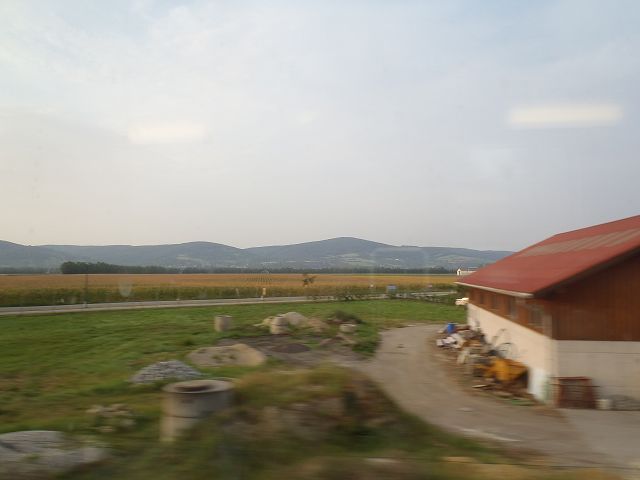 �I�[�X�g���A�̔_���n�т��삯������