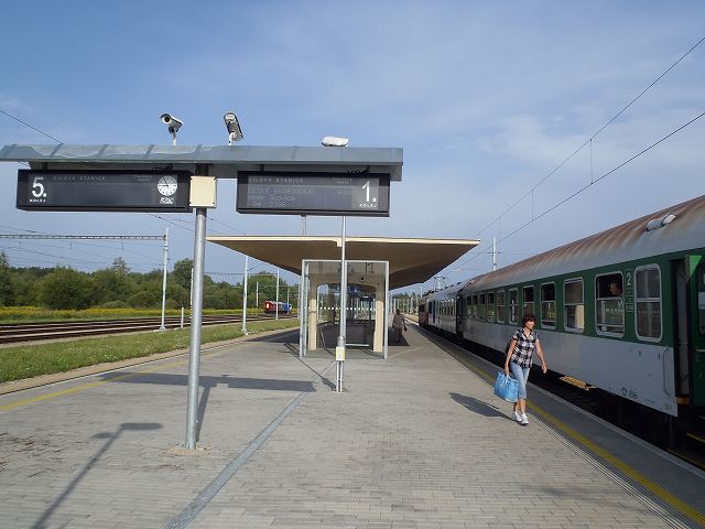 �`�F�X�P�[�E�u�f�B�F�����B�c�F�s���ɏ�芷��