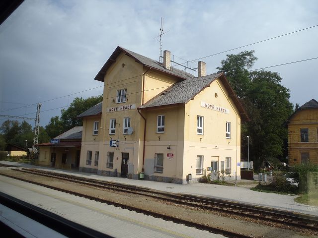 �����ȉw�ɂ��܂߂ɒ�܂�