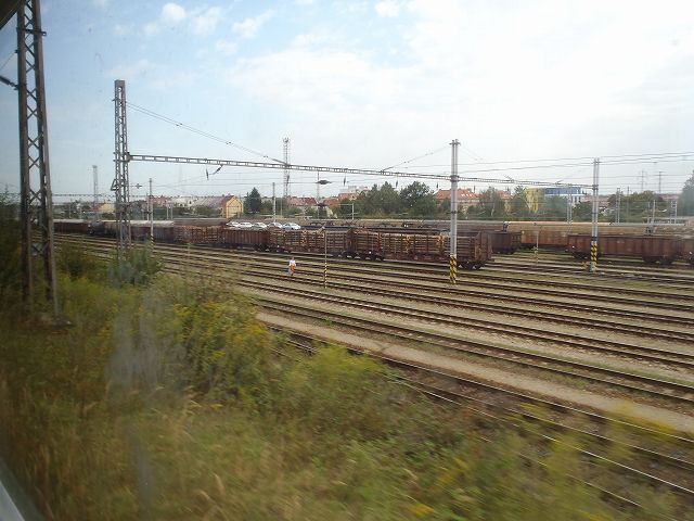 �܂��Ȃ��`�F�X�P�[�E�u�f�B�F�����B�c�F