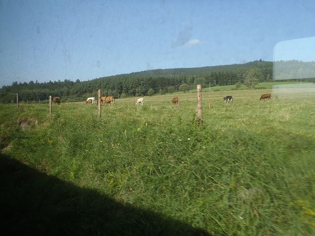 �X�ɔZ���Ȃ郍�[�J���F