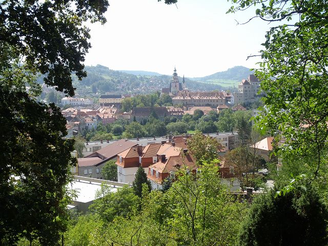 �邪�����Ă���