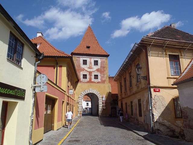 �u�f�B�F�����B�c�F��i��납��j