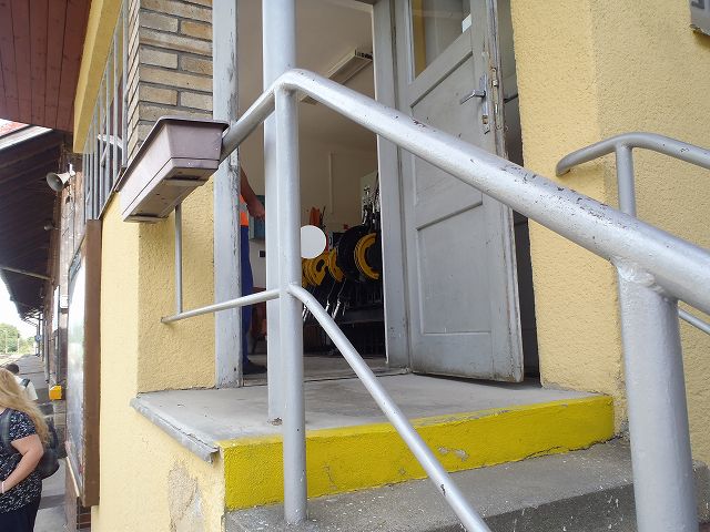 �蓮�̓]�Q�@������