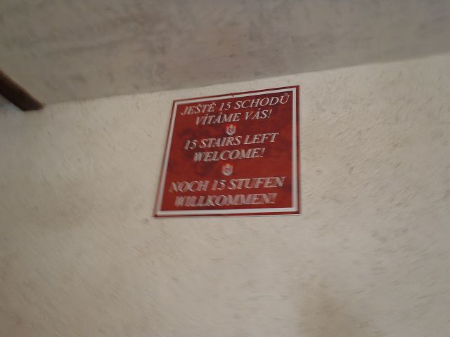 ����15�i�c�ו����傫���ƃL�c��