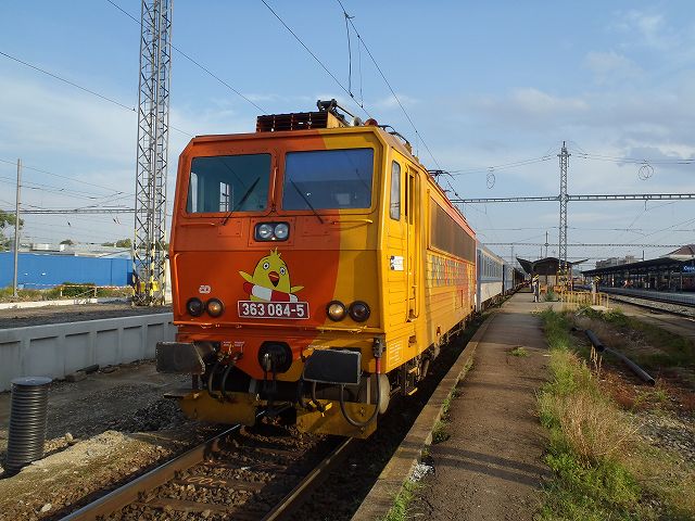 �`�F�R�ł��L����!?