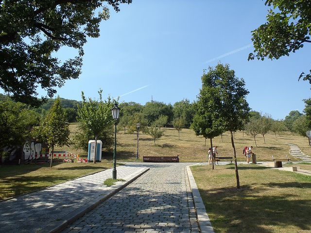 �y�g�V�[������