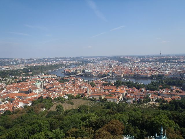 �e���r�����ォ��̑�p�m���}