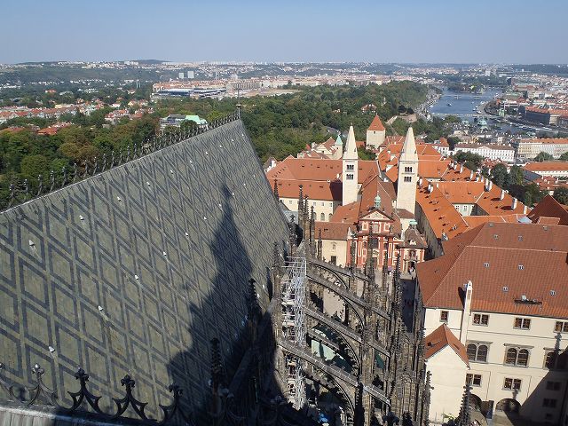 �듃���ォ��̒���