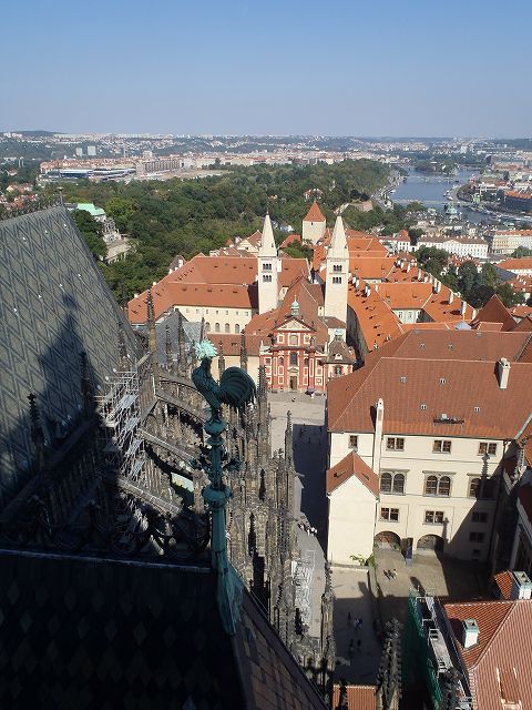 �������Ɍ����ʂ̌�����920�N�����Ƃ������C�W�[����