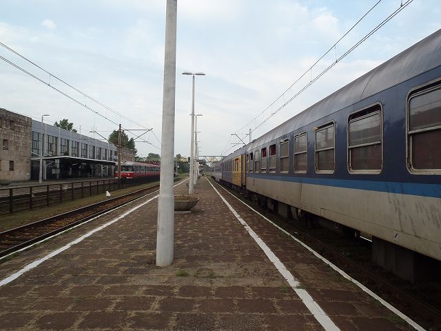 �I�V�t�B�G���`���ŉ���