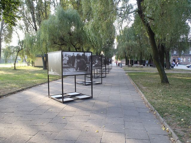 �e���̗v�l���K�ꂽ�Ƃ����@���{�l�͌������炸