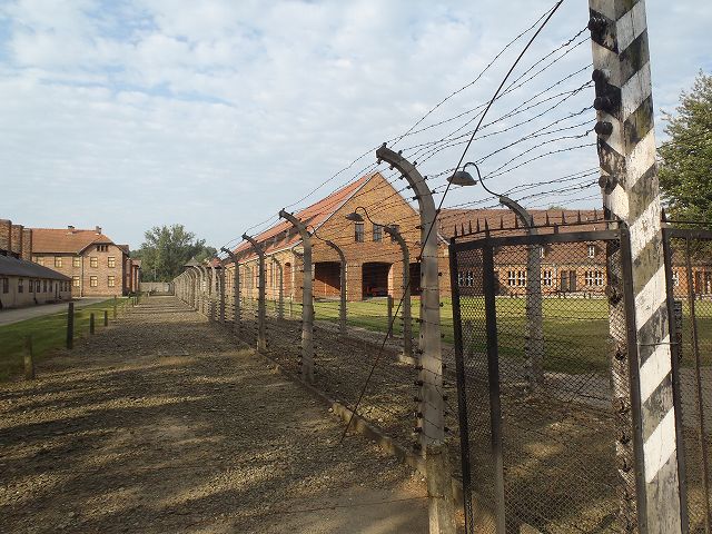 �L�h�S���Ɉ͂܂ꂽ���e��