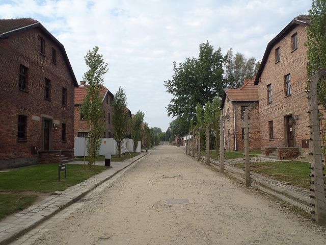 ���e�������R�Ɨ�������