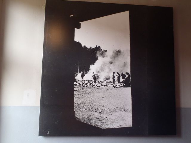 ���Ղ��������Ə��ނɉ΂����