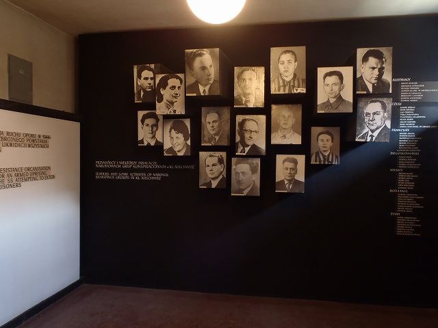 �����̘A���o�X�ő��A�E�V�����B�b�c�A�r���P�i�E��