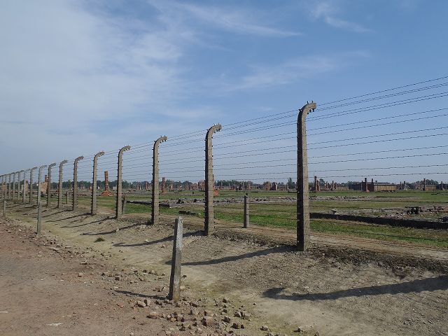 ���n�ɐ��_�r�f�̐��c�C�X���G���������f�������_���̐l�X