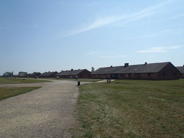 �A�E�V�����B�b�c���X�ɑe��