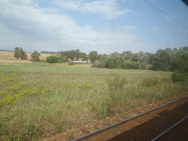 ���ՂȔ_���n�т�ʂ��ăN���N�t��