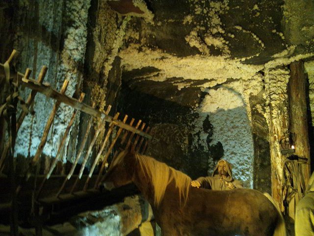 �������̂͑S�ĉ�