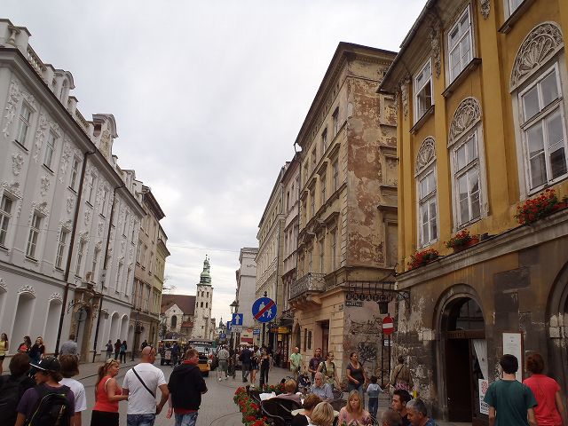 �H�n�̌����ɂ����j��������