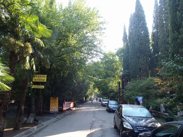 �C��������1���u�Ă��ʂ��