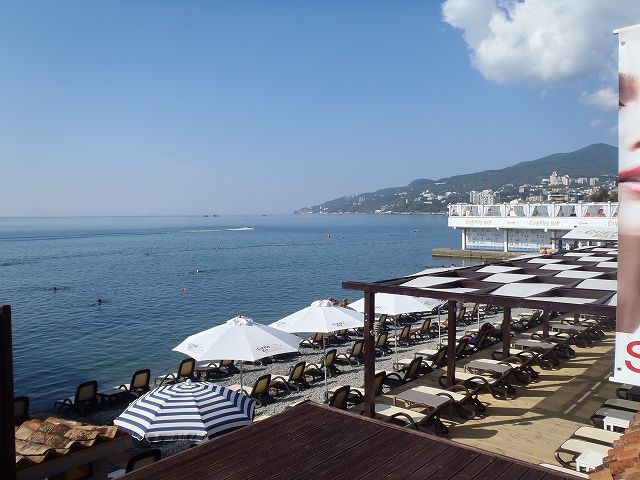 ������͗L�����